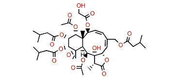 Gemmacolide AO